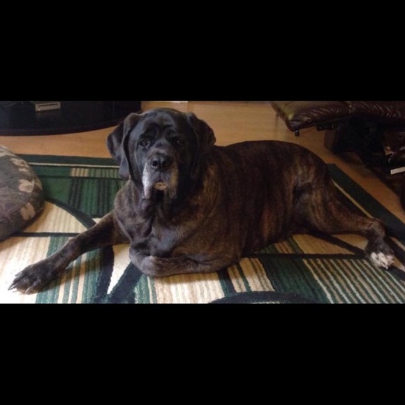 Meet your Posher, Jan - Picture 2 of 7